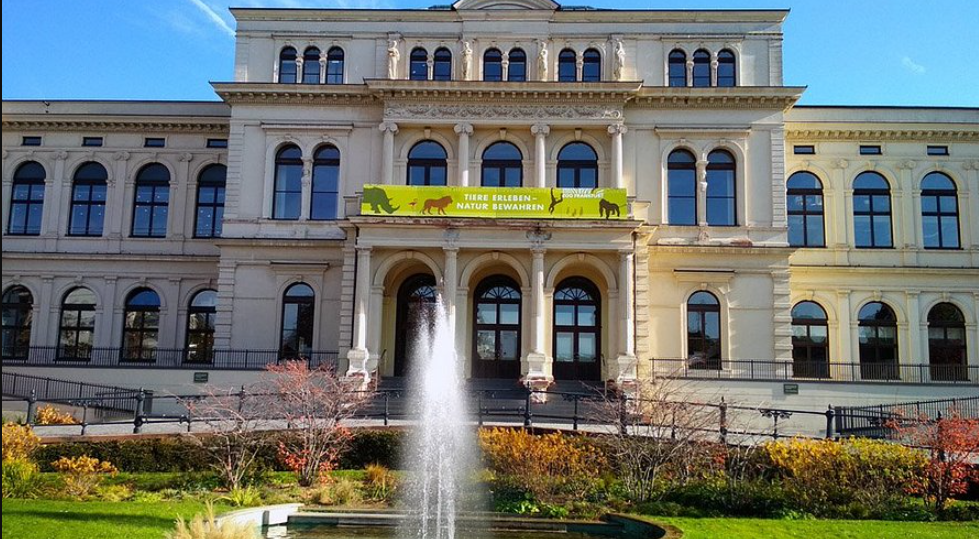 Zoo Frankfurt , Germany